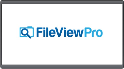 FileViewPro 1.9.8.19 Crack With License Key Download 2022
